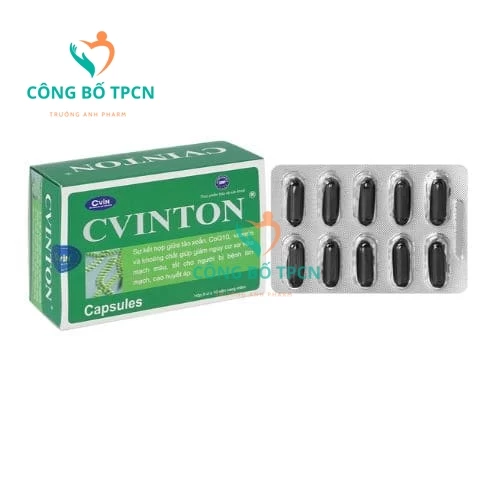 Cvinton Hải Phòng